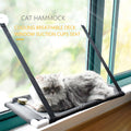 Cat Window Perch Hammock Suction Cup