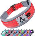 PuppyLuv Reflective Dog Collar ID Tag Slot Adjustable Safety S M L Red Blue Black