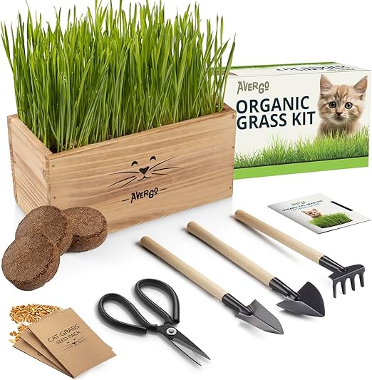 Organic Cat Grass Growing Kit - 4 Seed Packets with Planter  - PuppyLuv Pet Store