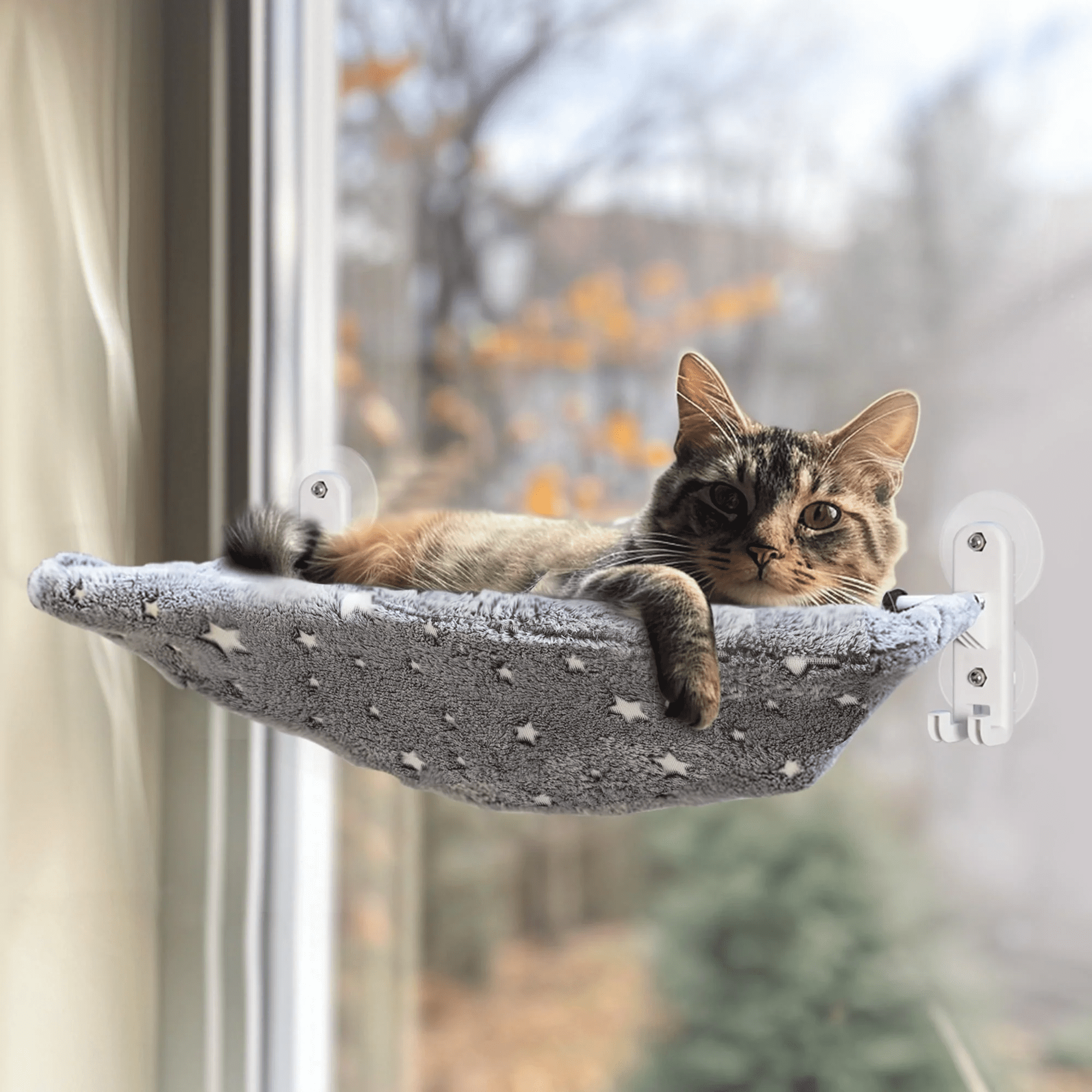 Cat Window Perch Hammock Suction Cup