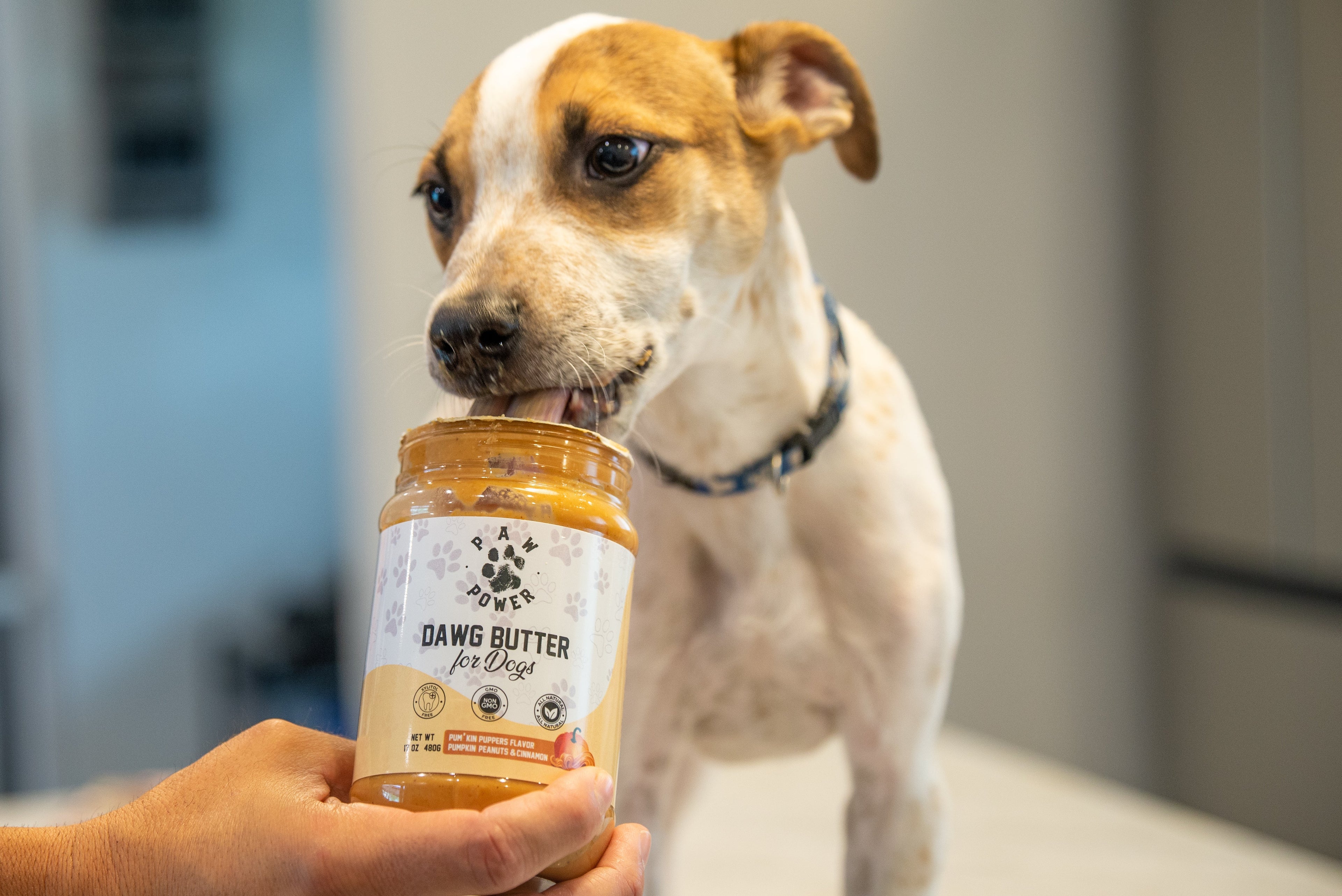 Dawg Butter Pum'kin Puppers Flavor - PuppyLuv Pet Store