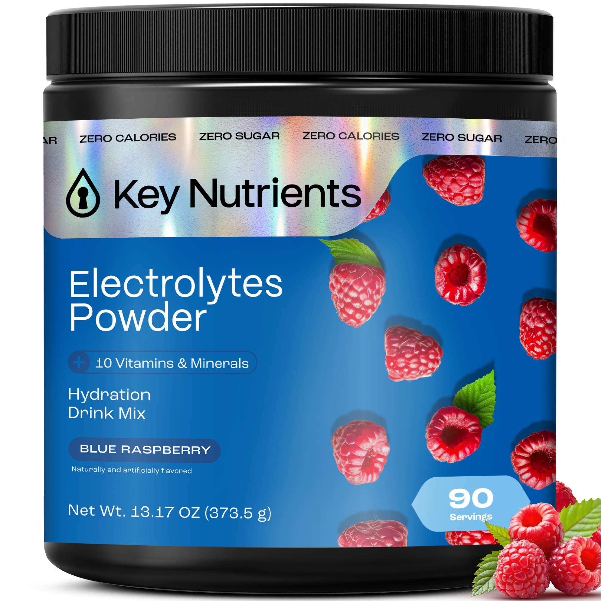 Electrolyte Recovery Plus Powder (Sugar-Free) - PuppyLuv Pet Store
