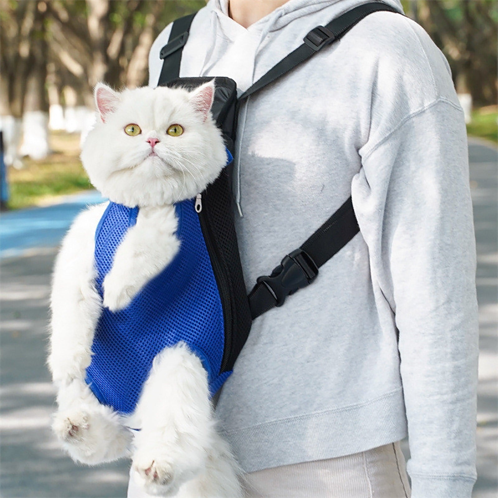 Dog Backpack Carrier for Small Dogs