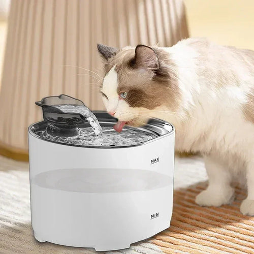 Automatic Dog Water Fountain 2.5L