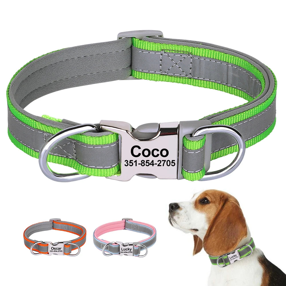 Flea and Tick Prevention Collar 8-Month