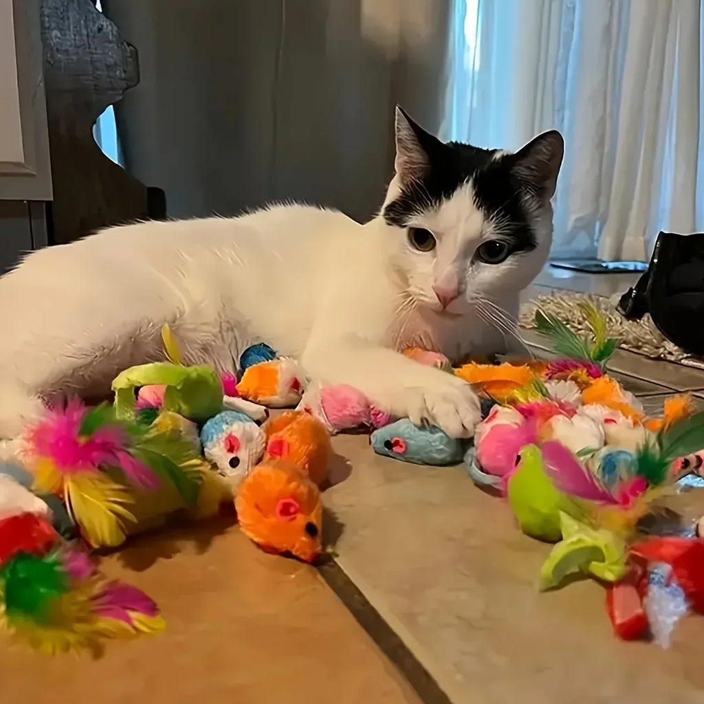 PuppyLuv Cat Toys Mixed Pack 56pcs Interactive Plastic Plush - PuppyLuv Pet Store