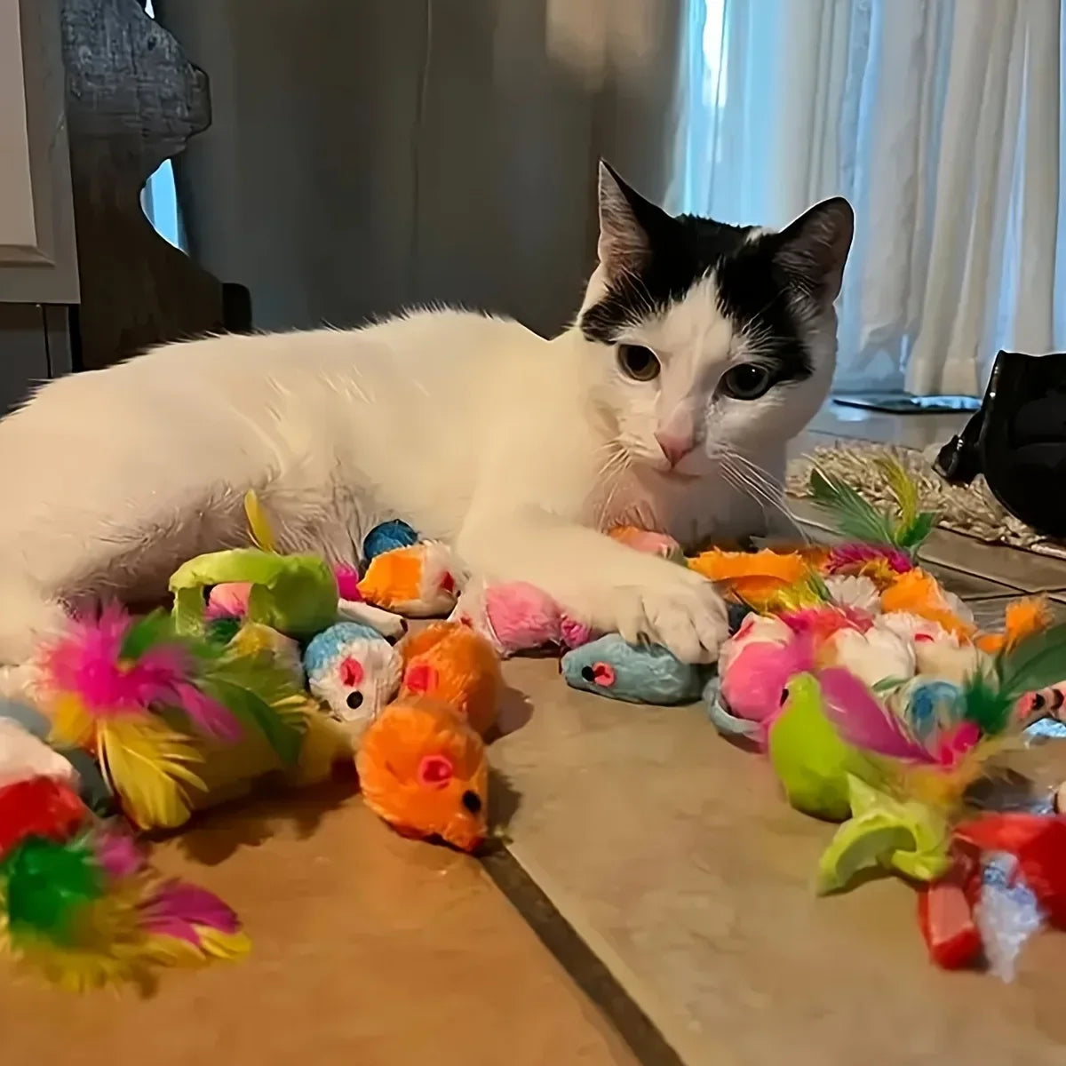 PuppyLuv Cat Toys Mixed Pack 56pcs Interactive Plastic Plush - PuppyLuv Pet Store