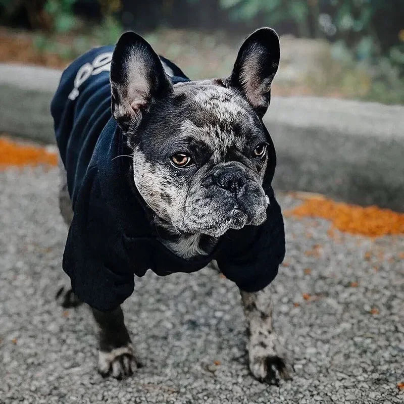 PuppyLuv Dog Hoodie Autumn Winter Large Dog Clothes French Bulldog Labrador Jacket XS-9XL