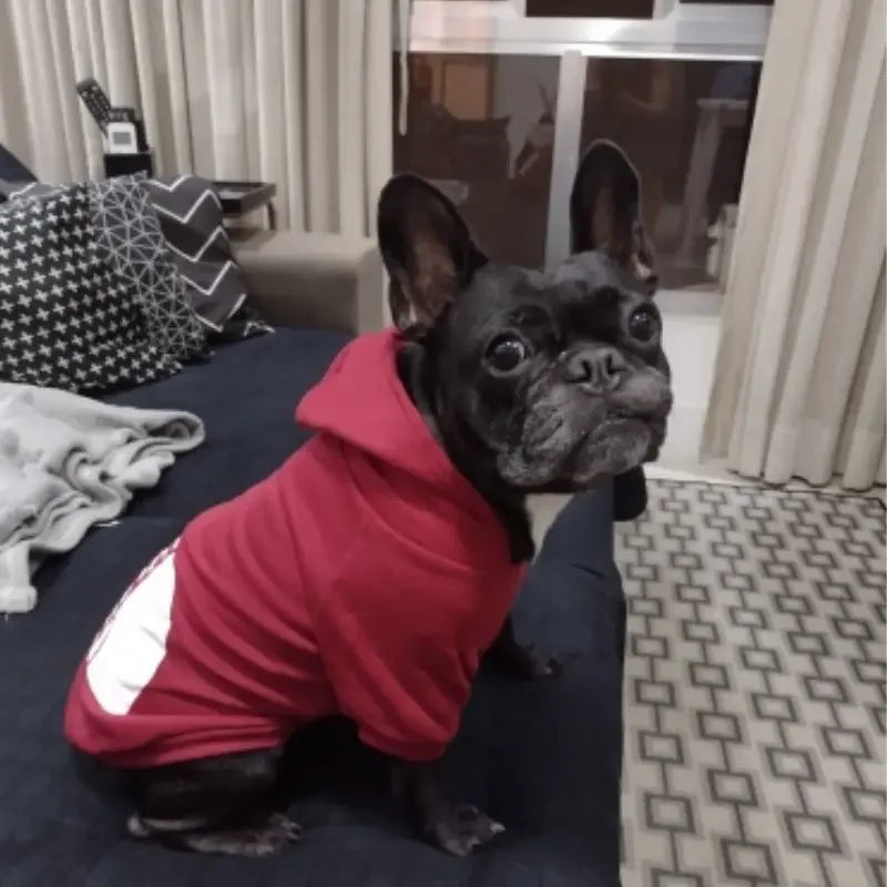 PuppyLuv Dog Hoodie Autumn Winter Large Dog Clothes French Bulldog Labrador Jacket XS-9XL