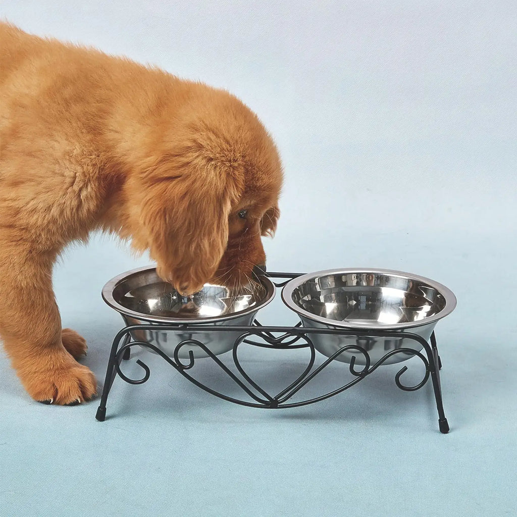 Stainless Steel Dog Bowl Set with Non-Slip Base