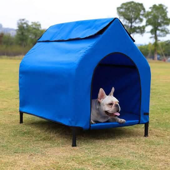 PuppyLuv Elevated Portable Pet House Outdoor Indoor Dog Cat Shelter Blue Yellow