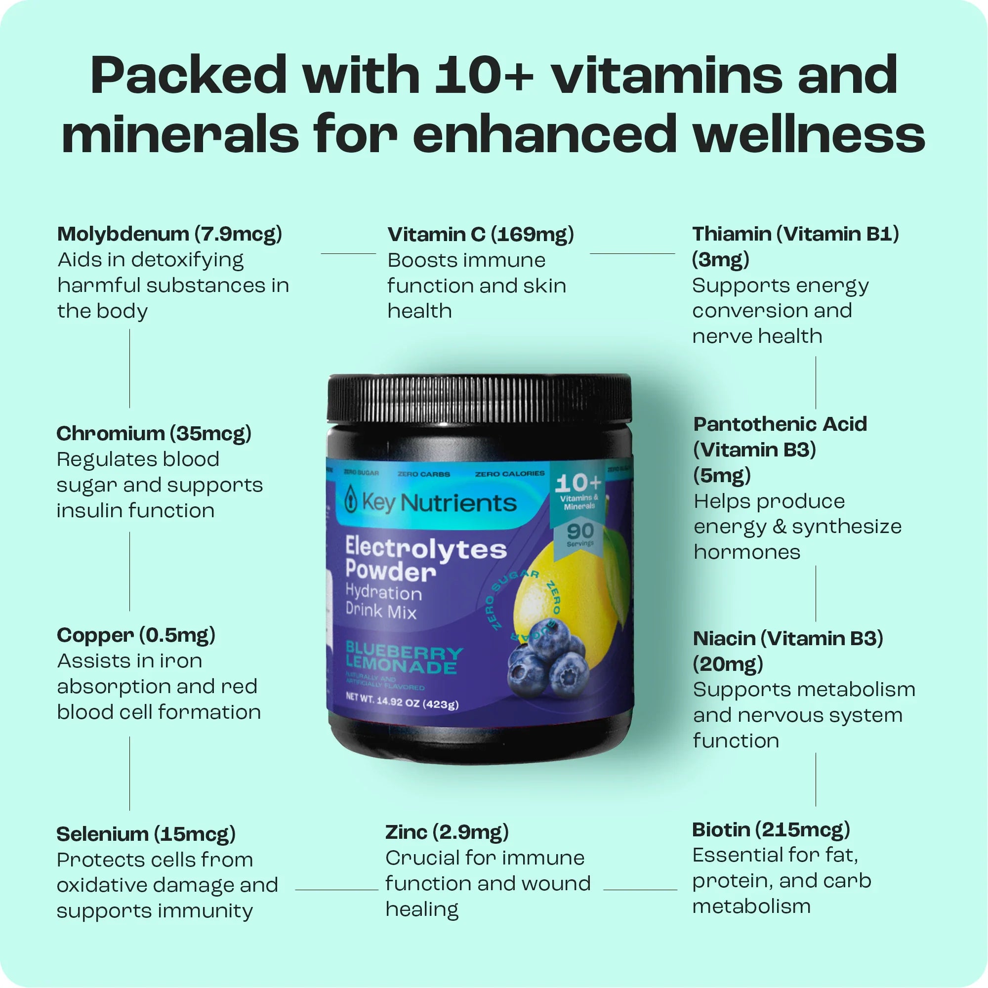 Electrolyte Recovery Plus Powder (Sugar-Free) - PuppyLuv Pet Store