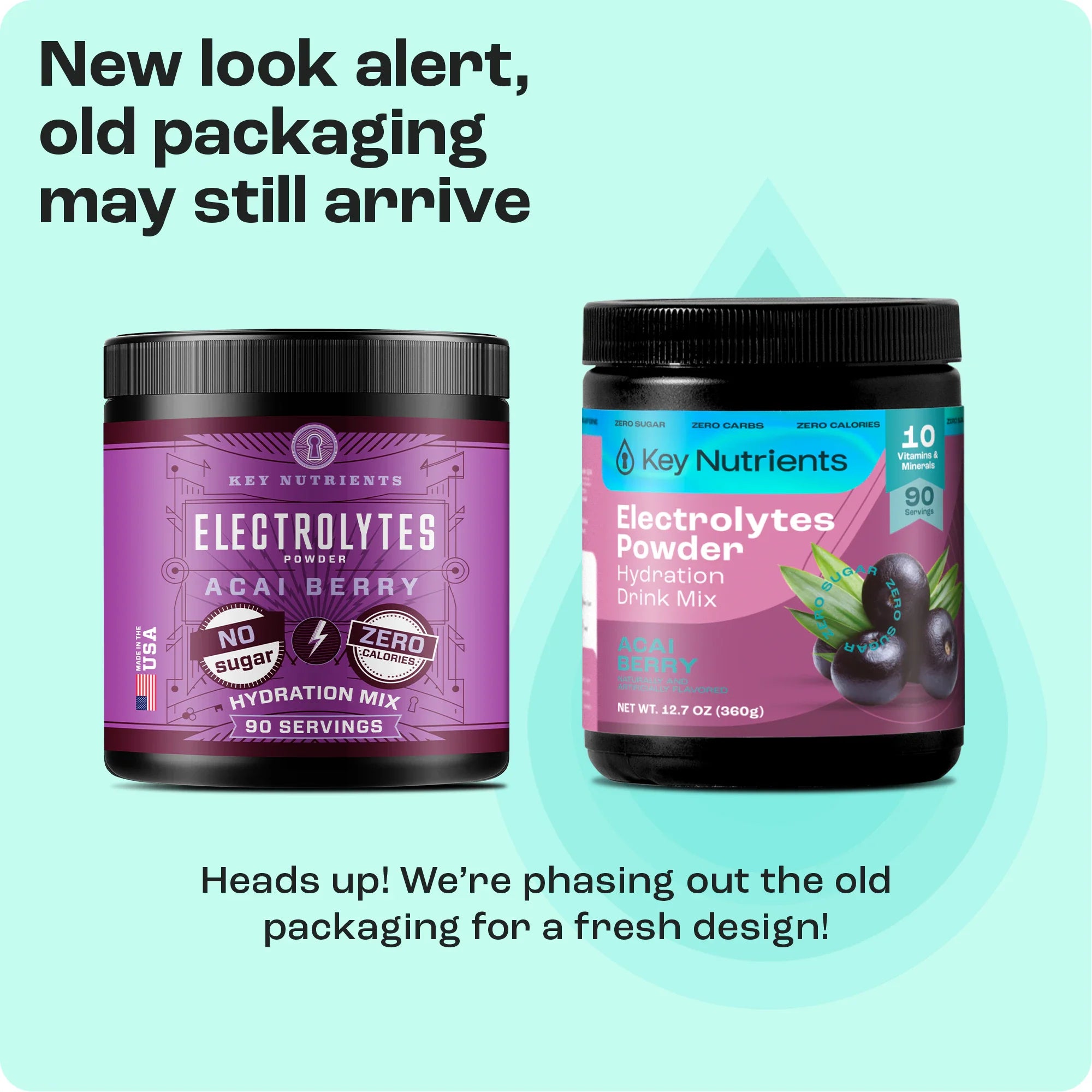 Electrolyte Recovery Plus Powder (Sugar-Free) - PuppyLuv Pet Store