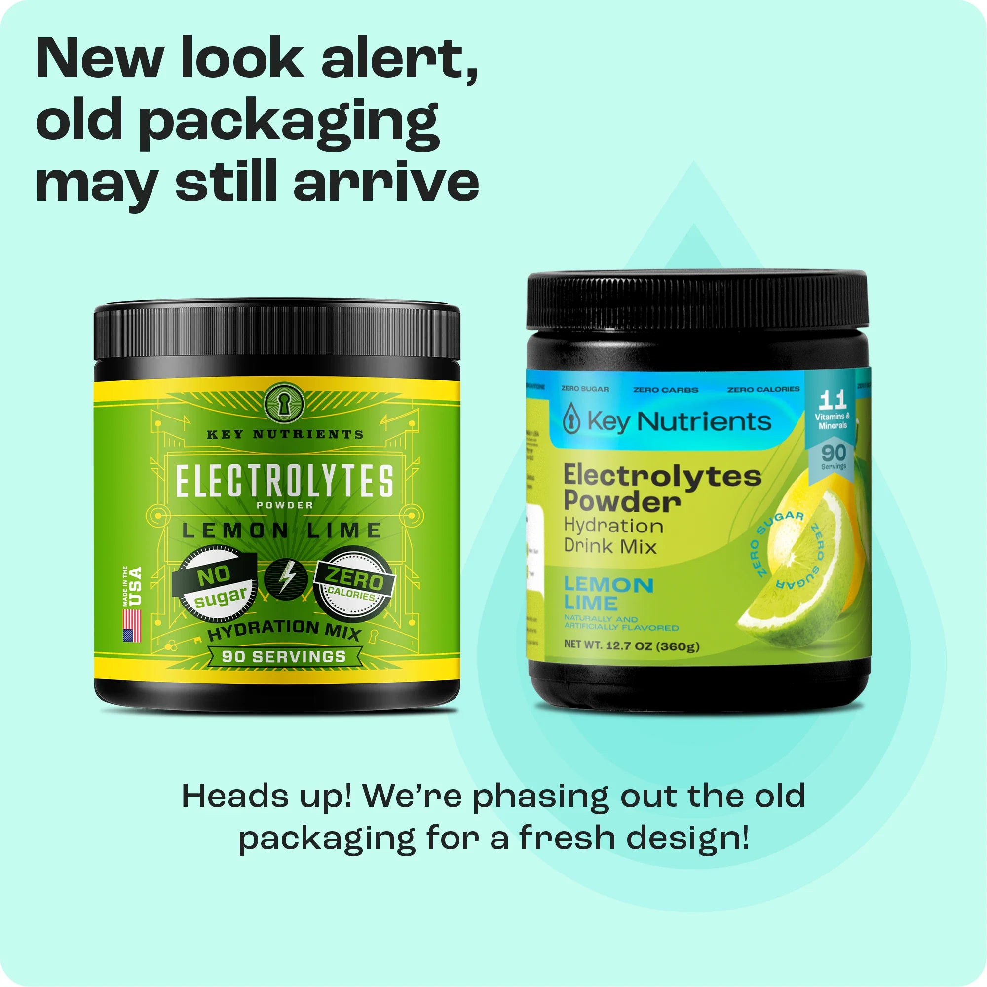 Electrolyte Recovery Plus Powder (Sugar-Free) - PuppyLuv Pet Store