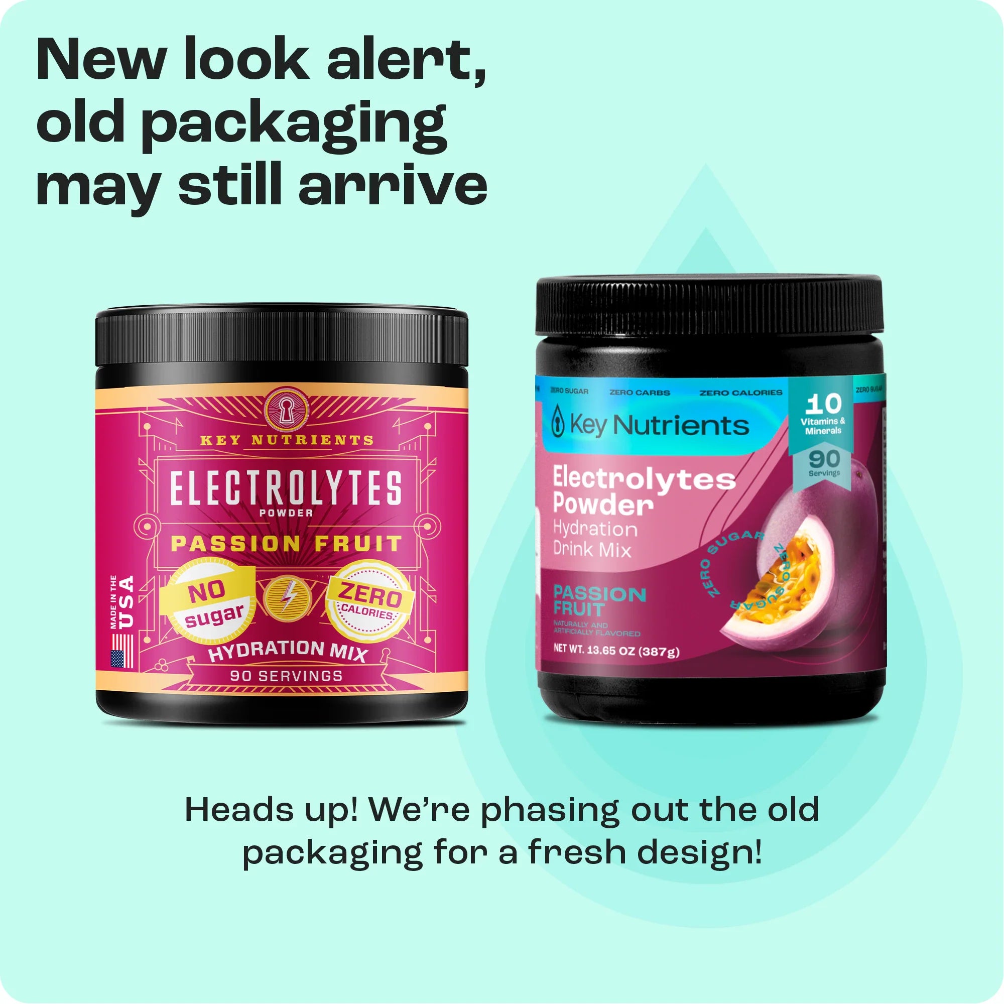 Electrolyte Recovery Plus Powder (Sugar-Free) - PuppyLuv Pet Store