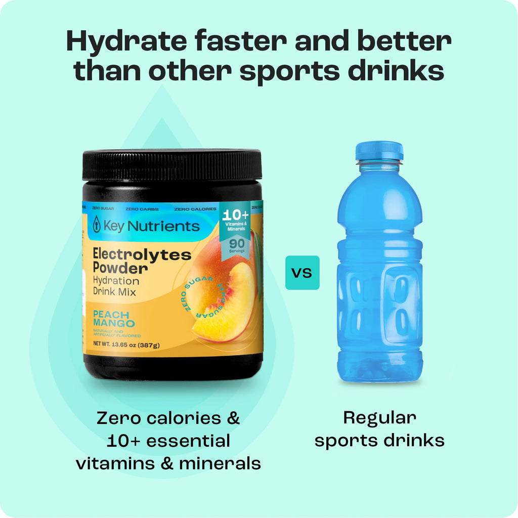 Electrolyte Recovery Plus Powder (Sugar-Free) - PuppyLuv Pet Store