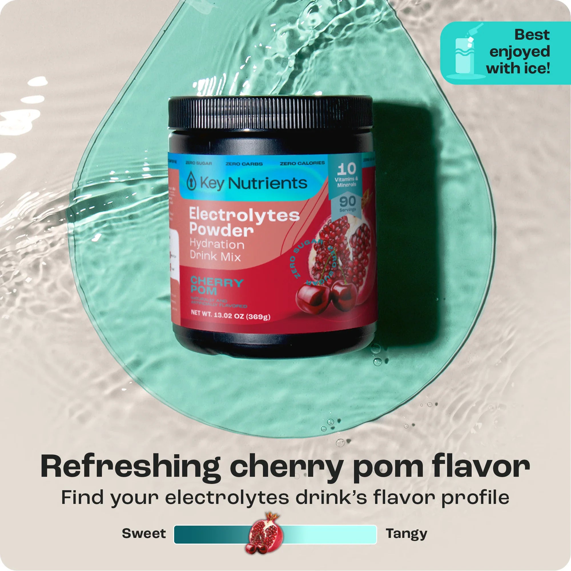 Electrolyte Recovery Plus Powder (Sugar-Free) - PuppyLuv Pet Store
