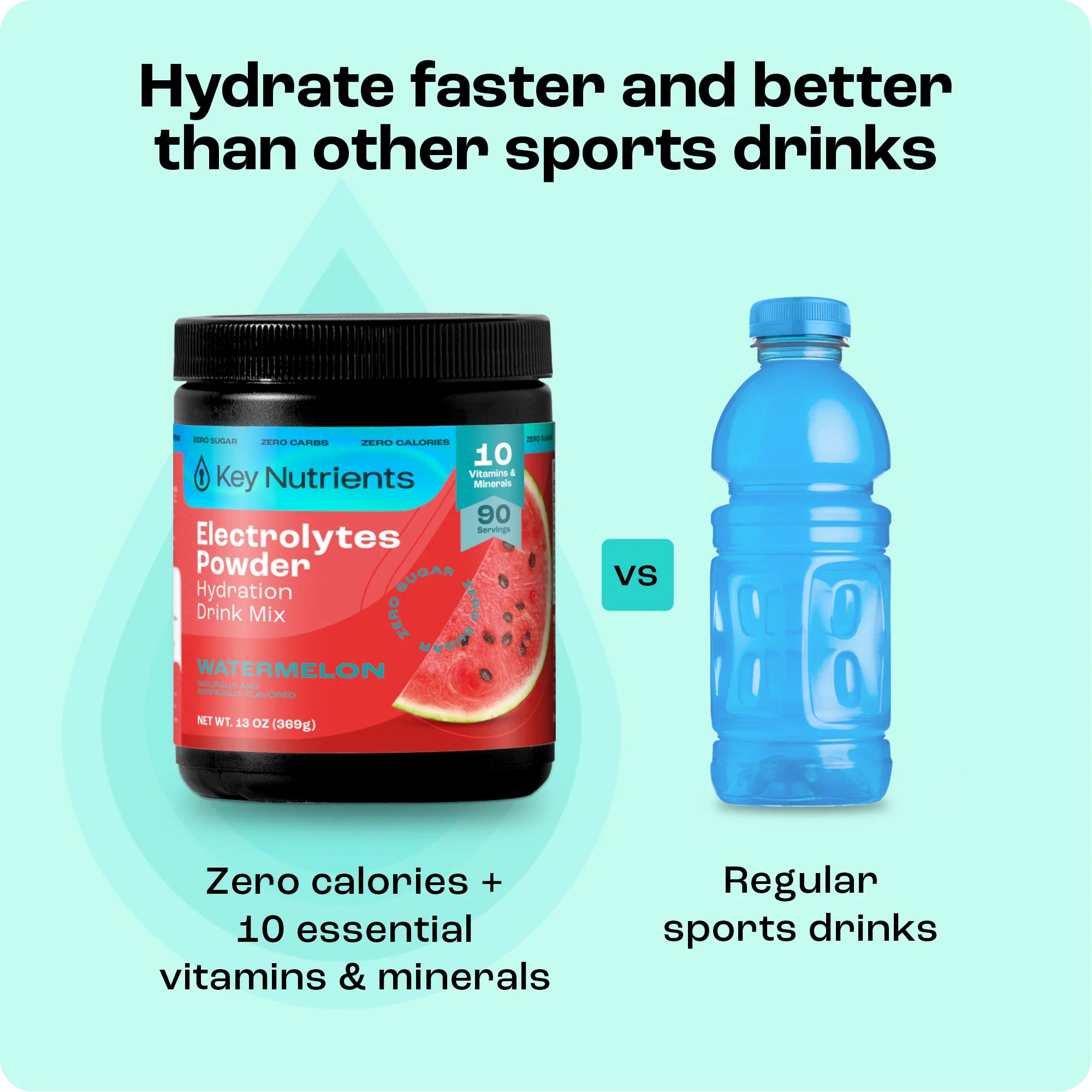 Electrolyte Recovery Plus Powder (Sugar-Free) - PuppyLuv Pet Store