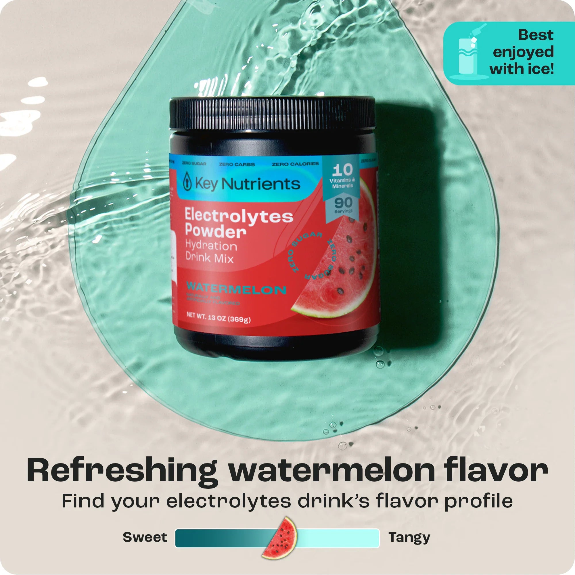 Electrolyte Recovery Plus Powder (Sugar-Free) - PuppyLuv Pet Store