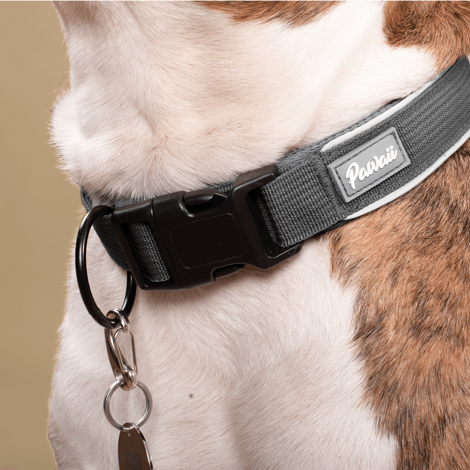 Reflective Dog Collar with ID Tag Slot